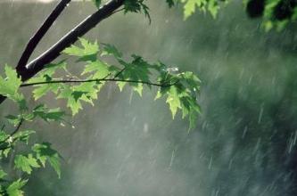 بارش نخستین باران پاییزی زنجان را فرا گرفت