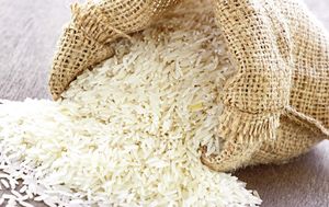 مقصر گرانی برنج، ممنوعیت واردات یا خشکسالی؟