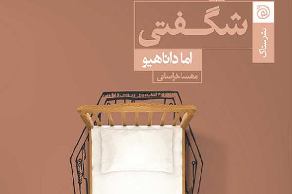 نشر ستاک منتشر کرد؛ رمان تازه داناهیو در ایران/ نویسنده «اتاق» به «شگفتی» رسید