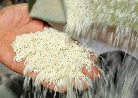 توزیع۱۲۰۰ تن سهمیه برنج و شکر در زنجان/ برنج هندی سر سفره زنجانی‌ها می‌آید